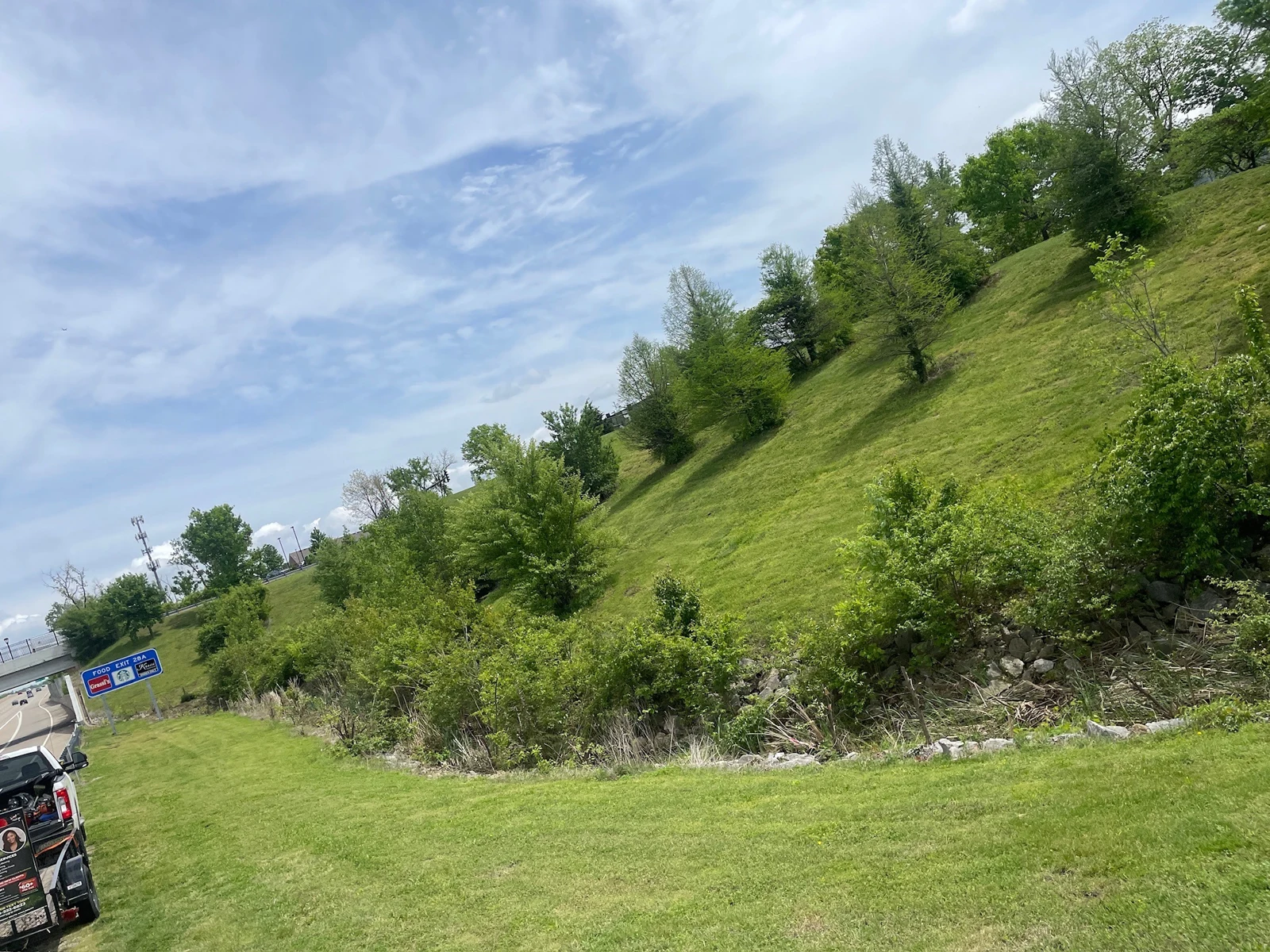 Grassy roadside slope and vegetation at an Ivory Commercial work site